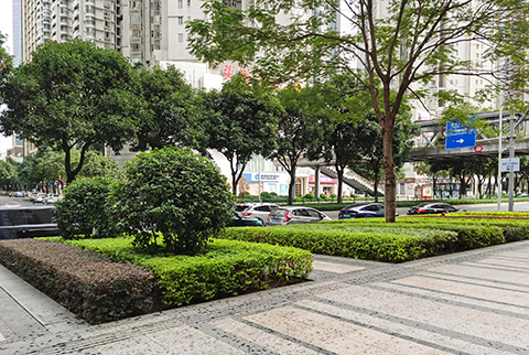 Agin games��(�й�)���޹�˾����