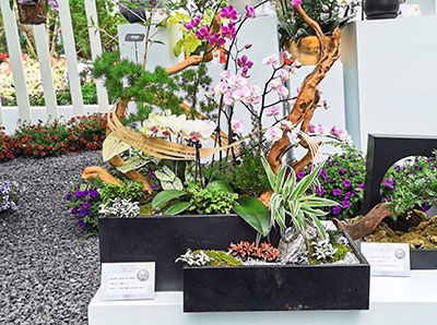 Agin games·(中国)有限公司官网