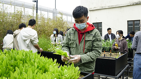 Agin games��(�й�)���޹�˾����