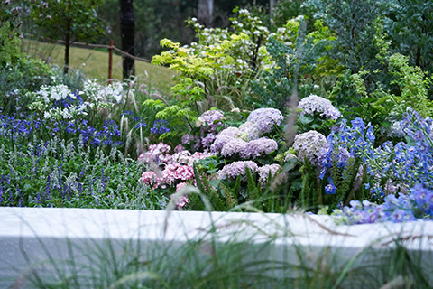 Agin games��(�й�)���޹�˾����