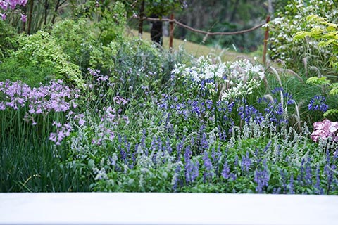 Agin games��(�й�)���޹�˾����