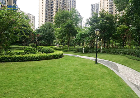 Agin games��(�й�)���޹�˾����