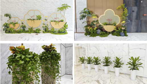 Agin games·(中国)有限公司官网