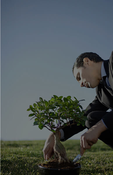 Ч������