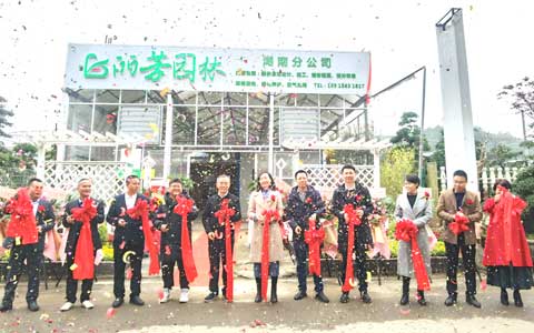 Agingames园林湖南分公司盛大开业，，征战华中市场