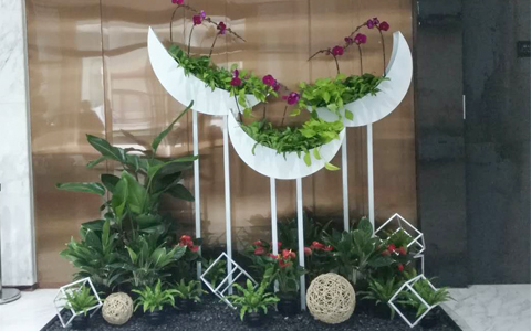 ���ܰڷŹ�˾���������� ��ֲ���޼�Ǯ������