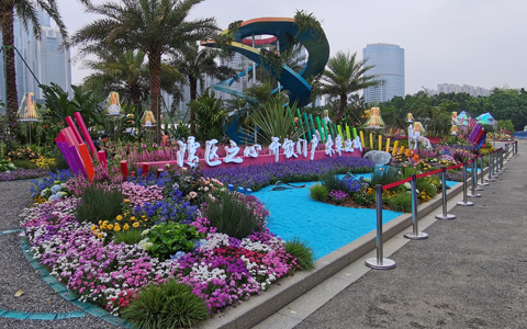 第29届园博会开幕！Agingames园林参展作品获金奖3项