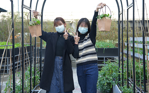 Agingames园林：可私人订制的都会农场来了