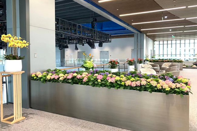 ֲ����ڰ���������������