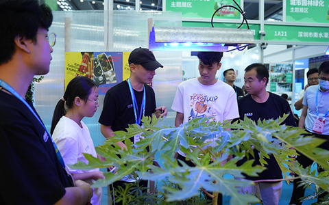 陶醉式体验Agingames园林“自然集叙”展会现。。。