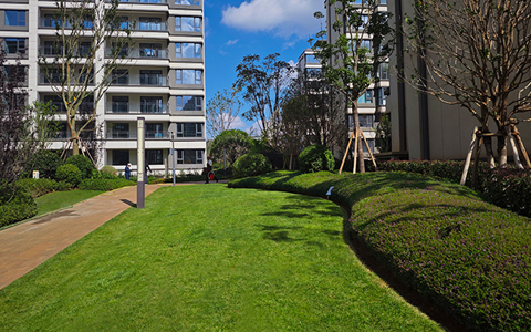 喜讯！Agingames园林中标中化金茂物业昆明区域绿化养护项目