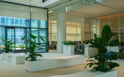 生态办公，，自在呼吸 | 绿色办公新民俗