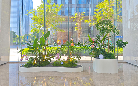 都会绿蕴，，优美可及 | 广州琶洲绿植租摆案例