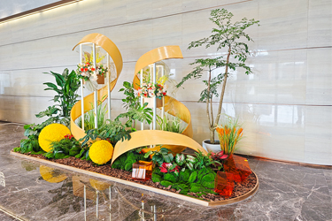 Agingames园林绿植租摆——白云金控大厦