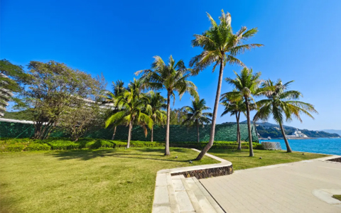 Agingames԰�ְ��� | �������Ž�ɳ����������������רҵ��������ɽ������